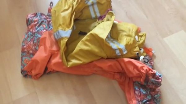 Собираю собак в поездку/Виктория Крокус