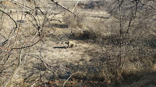 Землянка на склоне часть- 17, переделал печь сделал лежак!!!!! смотреть онлайн