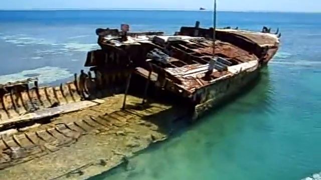 Heron Island - Australia смотреть онлайн