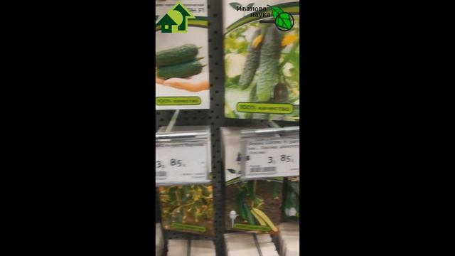 Семена в пакетиках. Есть ДЕШЕВЛЕ в 2,5 раза, чем у ПАРТНЕРА! За что мы платим??? смотреть онлайн