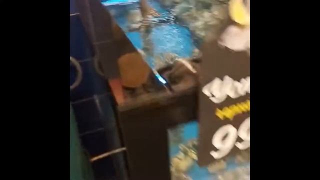 Аквастекло - производство аквариумов смотреть онлайн