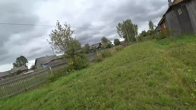 Жизнь в деревне/ Сажу рябину на участке/ Помыл машину/ Приклеил логотип смотреть онлайн