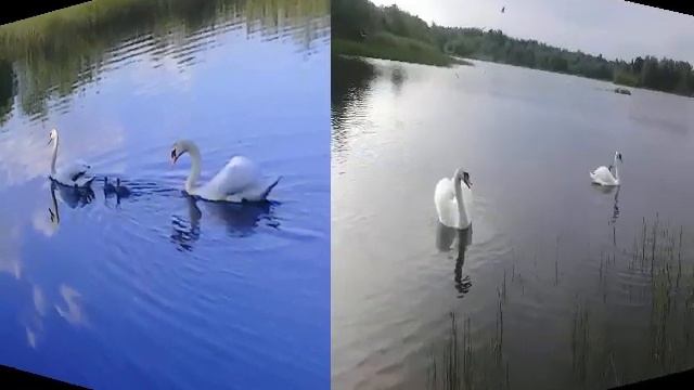 Мой край родной... смотреть онлайн