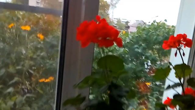 Погода испортилась ☔,а день был хороший.☺ смотреть онлайн