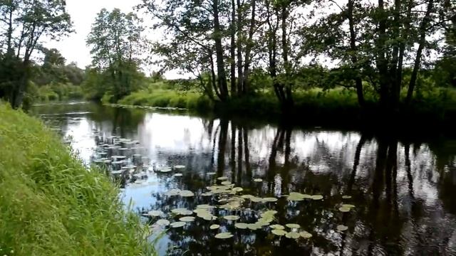 Пеший поход на реку Бобр в заказник Еленка смотреть онлайн
