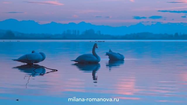 Самая Сильная Молитва на Желание Джозефа Мерфи. Исполни желание легко! смотреть онлайн