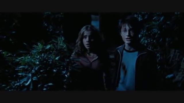 Harry Potter the Prisoner of Azkaban Harry Hermione part 2 смотреть онлайн