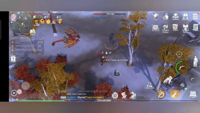 ORELAND TESTING GROUND FIRST GAMEPLAY - Dusk of Dragons Survivors смотреть онлайн