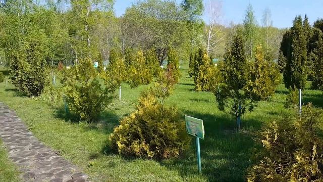 Дендропарк весной в Старом Осколе 2016 смотреть онлайн