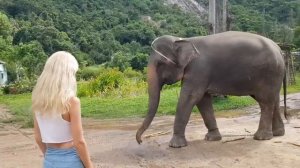 Нячанг экскурсия на Северные Острова