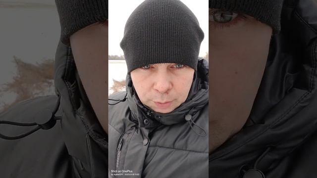 Литвин, тебе ли быдлу судить о русской душе .???! | Курский майор Агибалов смотреть онлайн