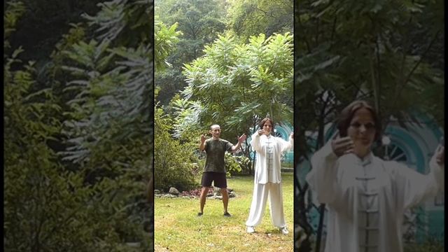 Учусь делать комплекс журавля цигун смотреть онлайн