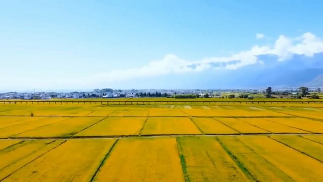 Тихие мелодии для отдыха.Deep sleep instrumental music. смотреть онлайн