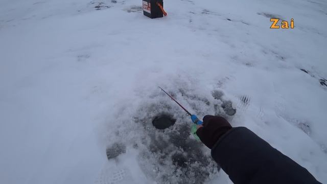 Ловля СУДАКА на ВИБЫ. Первый опыт. смотреть онлайн