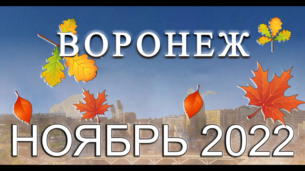Новости Воронежа Ноябрь 2022