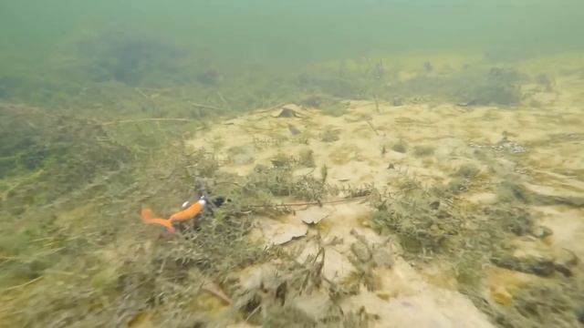 Топ 5 твистеров на щуку от Павла Лясоцкого. Лучшие силиконовые приманки для берегового джига смотреть онлайн