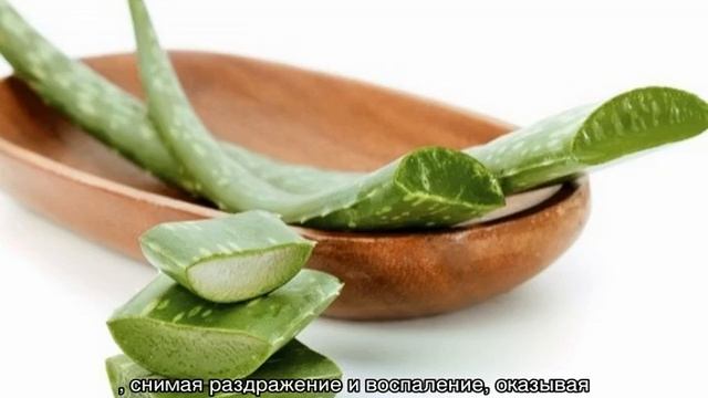 Алоэ для лица в домашних условиях смотреть онлайн