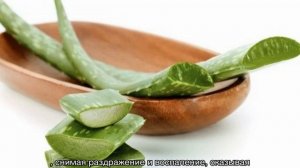 Алоэ для лица в домашних условиях