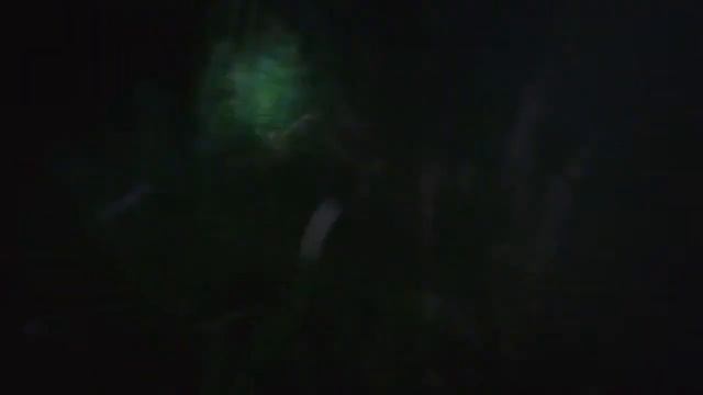 Ночь, лес, река и костёр смотреть онлайн