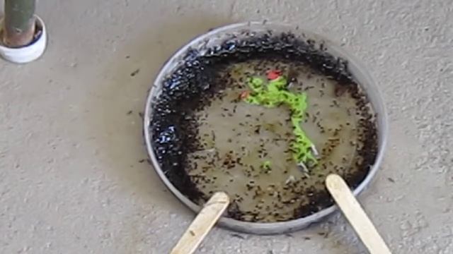 ЖИТИЕ БЫТИЕ ВЛАДИМИРА ВКУСНОГО