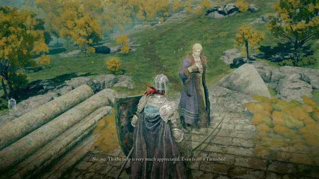 ELDEN RING | What Happened If You Kill Kenneth Haight смотреть онлайн