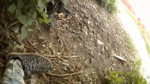 Самодельный корч из досок; поехали в город