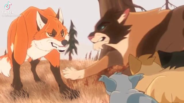 коты воители клип "РОЗЫ". смотреть онлайн