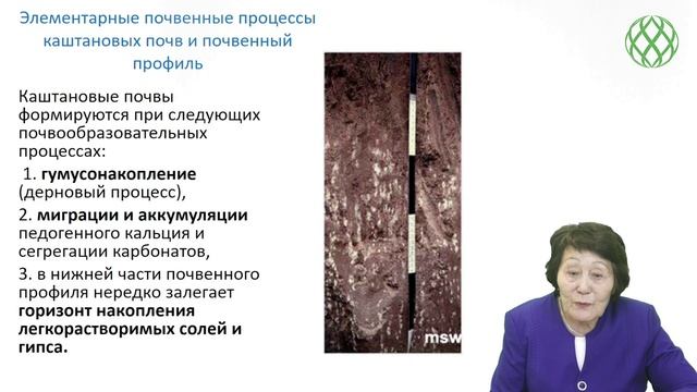 Курбатская С.С.