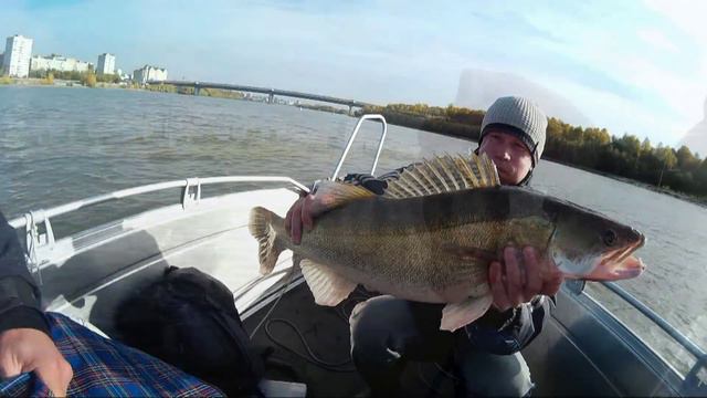 Иртыш судак 7кг 2015 НК смотреть онлайн