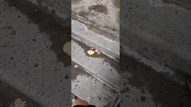 ребят видео не будут выходить 2 дня я еду на море! смотреть онлайн