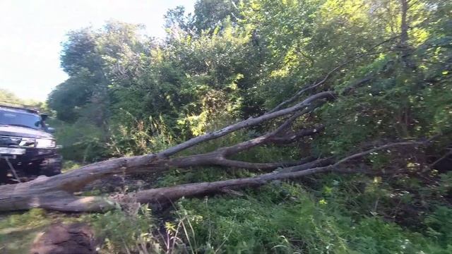 Что может Nissan Patrol Y61 на колесных редукторах (Подгорное 25-26.08.2019 г.) смотреть онлайн