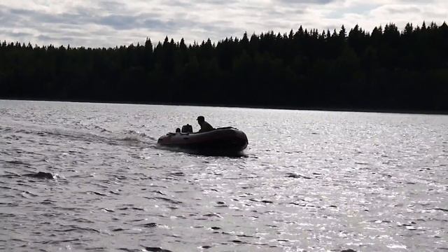 SUZUKI DF5 смотреть онлайн
