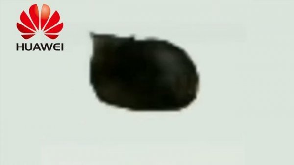 OIIAOIIA CAT but famous phone ringtones