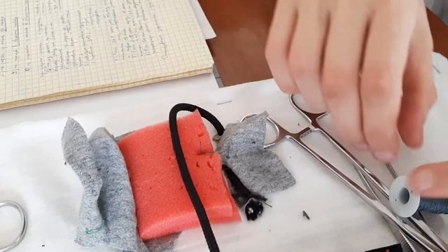 Пластика по Бассини смотреть онлайн