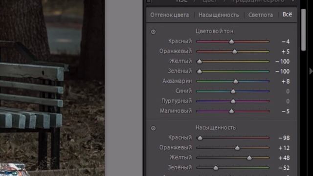 Пресет для Lightroom - осеняя темная обработка RAW смотреть онлайн