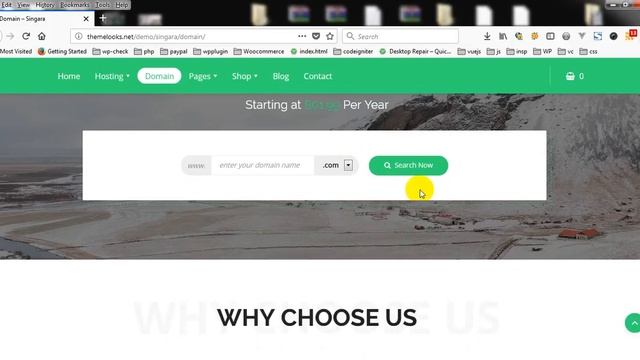 Front-End Overview - Singara | Multipurpose Hosting WordPress Theme with WHMCS смотреть онлайн