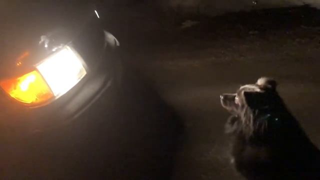 Video 621 смотреть онлайн