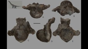 Ундоры. Палеонтологический музей