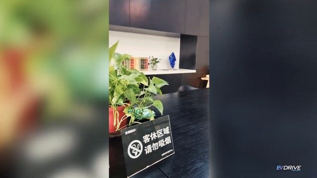 ZEEKR 001, bazat pe brevete VOLVO, deținut de GEELY. O recenzie grozavă de la evdrive.md ! смотреть онлайн