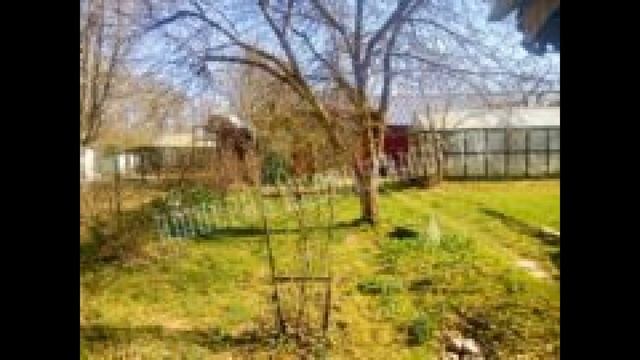 Продаю дачу 20 кв.м, уч. 5 сот, 124 км от МКАД смотреть онлайн