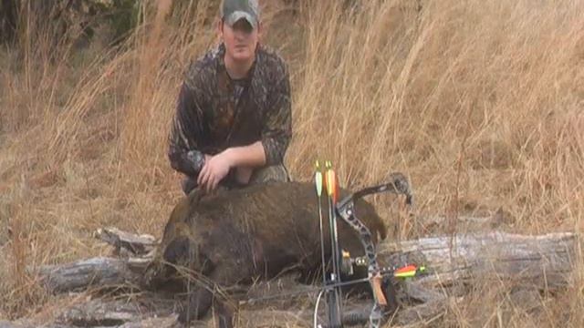 Chasin' Tail, Part 5