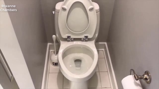 Kohler 3810-95 Santa Rosa Comfort Height Elongated 1.28 GPF Toilet 2022 Review смотреть онлайн