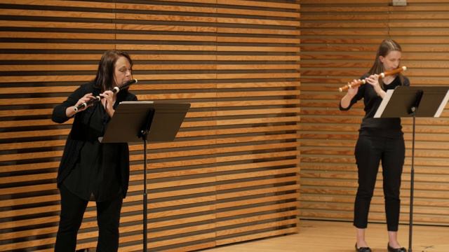 Simphonie Concertante in D Major by Giuseppe Maria Cambini // Baroque Chamber Orchestra смотреть онлайн