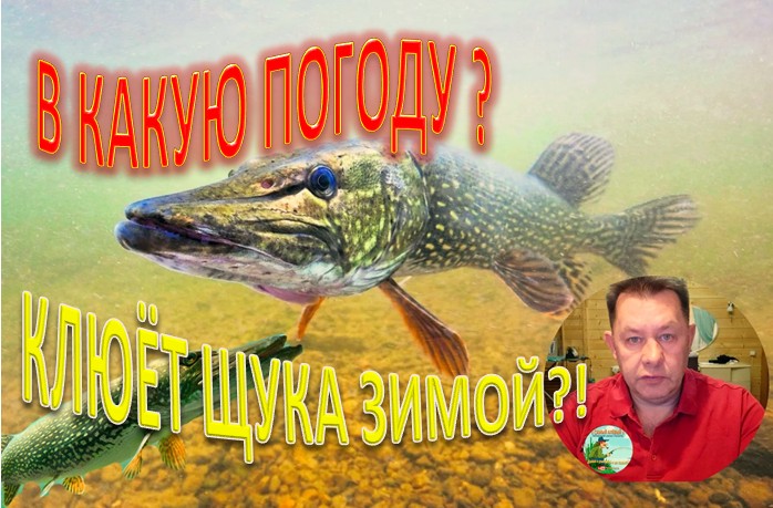В КАКУЮ ПОГОДУ КЛЮЁТ ЩУКА ЗИМОЙ? смотреть онлайн