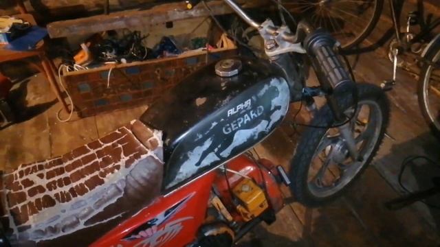 Альфа из хлама с двигателем от бензопилы Урал стала похожа питбайк.