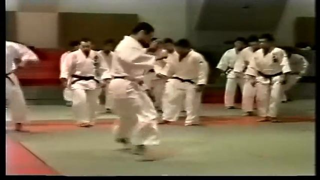Hiroshi Katanishi.Judo Seminar.Tachi Waza. #judo