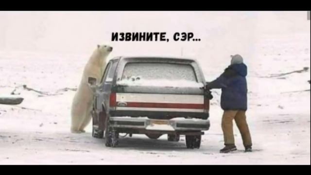Лютые приколы. МАЙНКРАФТ НУБ и КОТ!!! Самое смешное видео! Засмеялся проиграл! – Domi Show!