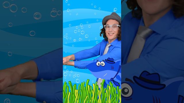 Малышка акула ду-ду-ду-ду-ду!
