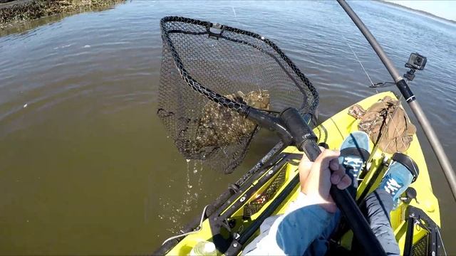 Fishing a NEW AREA in a NEW Kayak! (2021 Hobie Outback) смотреть онлайн