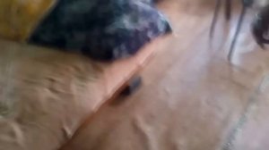 Последствия попадания, в дом шаровой молнии